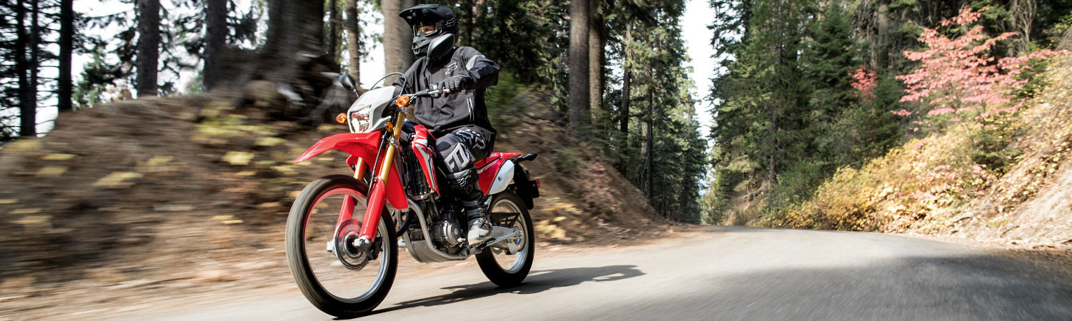 2020 Honda® CRF250L for sale in Albin's Honda, Potterville, Michigan